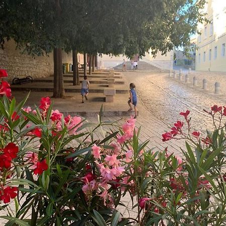 Feel The City Atmosphere Rovigno Esterno foto