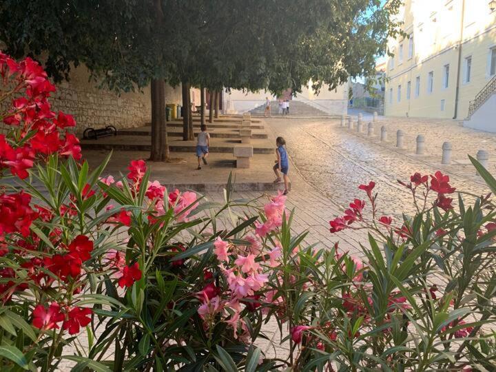 Feel The City Atmosphere Rovigno Esterno foto
